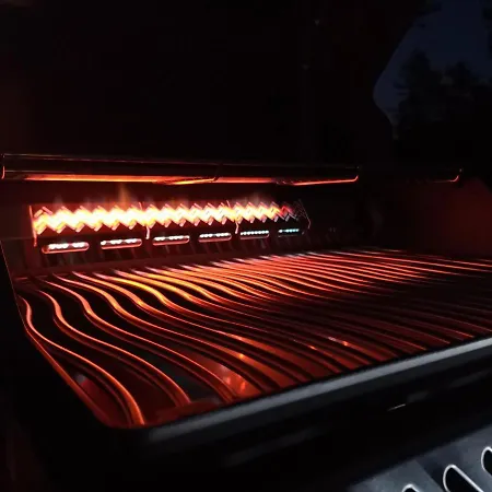 Villa Koivuniemen Tila Ii